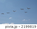 2199819