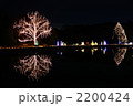 京都府立植物園のイルミネーション