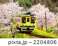 春のいすみ鉄道