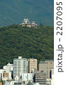 城山と松山市内