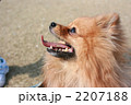 2207188