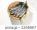 いわし