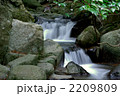 渓谷の滝