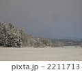 2211713