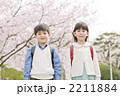 桜と１年生
