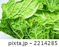 虫を抱く野菜