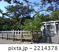 三保の松原・羽衣の松