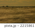 朝霧湧く冬の朝
