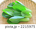 ミニチンゲン菜