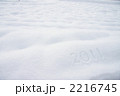 2011年