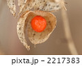 ほおづき