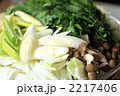 白葱（長ネギ）と春菊と