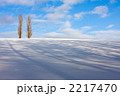 冬の美瑛の丘陵風景