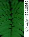 2218569