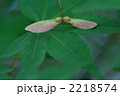 2218574