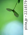 2218579