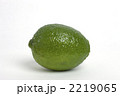 ライム