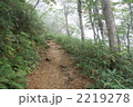 遠見尾根登山道（20050924_007）
