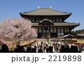 大仏殿春爛漫