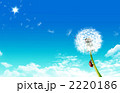 49 余裕のあり_k_210793