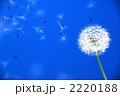51 余裕のあり_k_169840