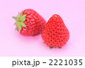 静岡県産の赤いイチゴ「紅ほっぺ」