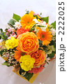 Spring Arrengement