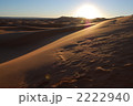 サハラに舞う
