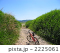 MTBで川原の道を行く(1)