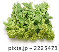 菜の花 2225473