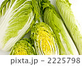 2225798