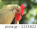 2225822