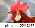 2225857