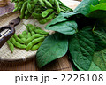 葉つき枝豆
