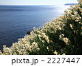 灘黒岩水仙峡