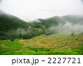 丸山千枚田