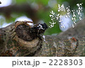がんばっている時って