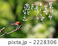 夏休み