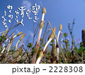空の色が