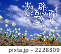当たって砕けろ