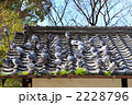屋根の上の鳩