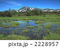 沼ノ原　湿原とツムラウシ山