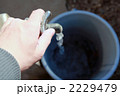 2229479