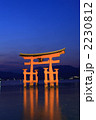 宮島の夜景
