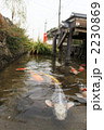 萩、藍場川