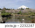 富士と桜