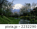 富士と春の小川 富士と春の小川