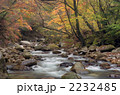 奥入瀬(おいらせ)渓流 奥入瀬(おいらせ)渓流