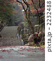 大雄山最乗寺の紅葉 大雄山最乗寺の紅葉