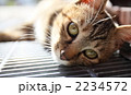 2234572